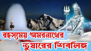 Read more about the article অমরনাথ গুহায় বরফের শিবলিঙ্গ  || Amarnath Yatra || Frozen Shivling ||