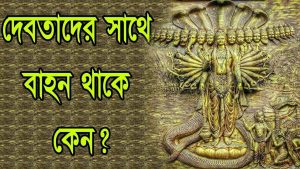 Read more about the article দেবতাদের সাথে বাহন থাকে  কেন? দেব দেবীদের বাহনের প্রয়োজন কি?  Why Deities  Need Vehicles?