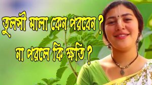 Read more about the article তুলসী মালা কেন পরিধান করবেন? না পরলে কি ক্ষতি?  Why The Hindus Wear Tulsi Mala as Necklace?