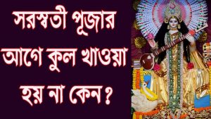 Read more about the article সরস্বতী পূজার আগে কুল খাওয়া হয় না কেন?