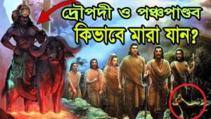 Read more about the article দ্রৌপদী ও পঞ্চপাণ্ডব কিভাবে দেহত্যাগ করেন? How did Draupadi and Pancha Pandavas Die?