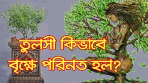 Read more about the article তুলসী কে? তিনি কিভাবে বৃক্ষে পরিনত হলেন? Who is Tulsi  & How did She Turn Into a Tree?