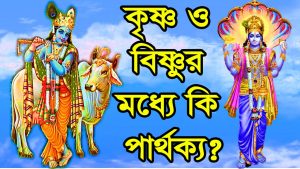 Read more about the article কৃষ্ণ ও বিষ্ণুর মধ্যে কি পার্থক্য?