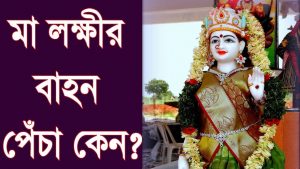 Read more about the article পেঁচা কেন মা লক্ষীর বাহন?