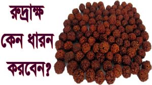 Read more about the article কেন ও কিভাবে ধারন করবেন রুদ্রাক্ষ?