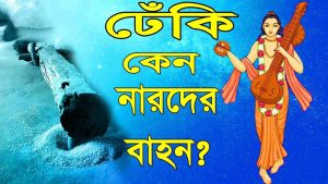 Read more about the article ঢেঁকি কেন নারদের বাহন ? নারদ কেন কলহসংগঠক স্বভাবের?