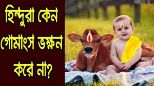 Read more about the article হিন্দুরা কেন গরুর মাংস খায় না? গোহত্যা ও গোচর্মের ব্যাবহার কি পাপ?