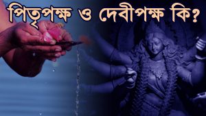 Read more about the article পিতৃপক্ষ ও দেবীপক্ষ কি? বিস্তারিত জানুন, সংশয় দূর করুন |