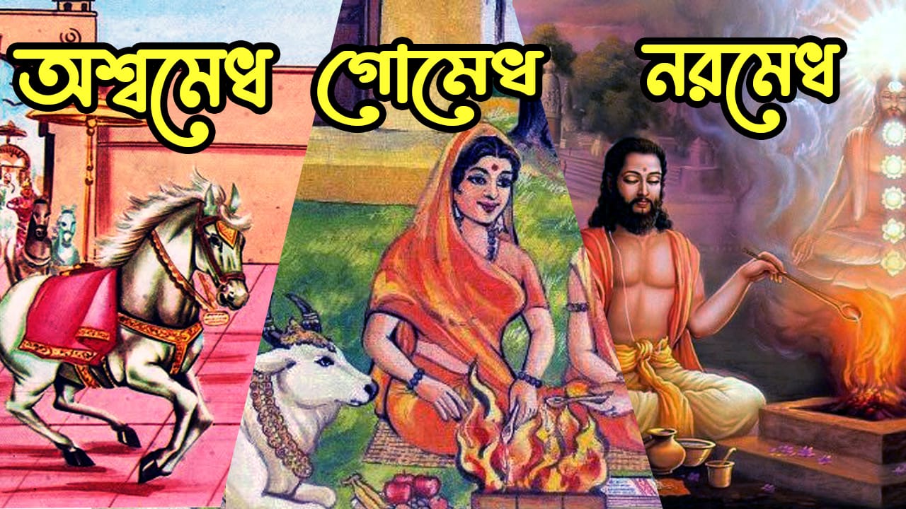 You are currently viewing অশ্বমেধ, গোমেধ ও নরমেধ যজ্ঞ কি? ভ্রান্ত ধারণার অবসান || Ashwamedha, Gomedha & Naramedha Yagna ||