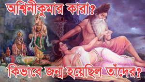 Read more about the article অশ্বিনীকুমার কারা? কিভাবে জন্ম হয়েছিল তাঁদের? সুকন্যা ও চব্যনের কাহিনী। Vedic Ashwini Kumar Brothers