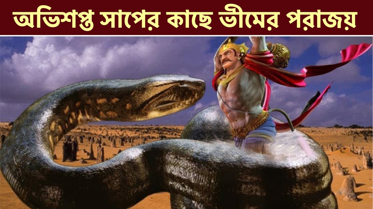 You are currently viewing অগস্ত্য মুনির মাথায় লাথি মেরে সাপে পরিণত হলেন রাজা নহুষ ||  Mythological Story Of Cursed  Nahusha ||