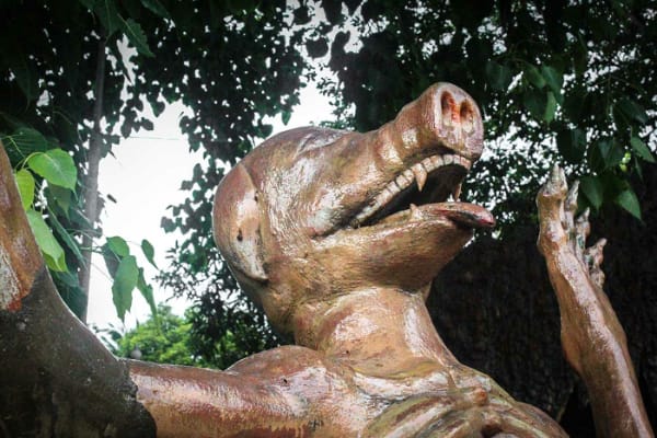 শূকরমুখ